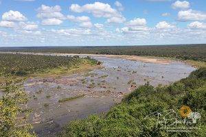 View of the Olifants River- Kruger National Park