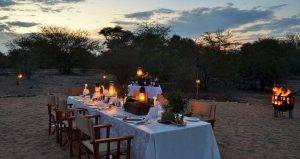 Dining Out at Hamilton's Tented Camp