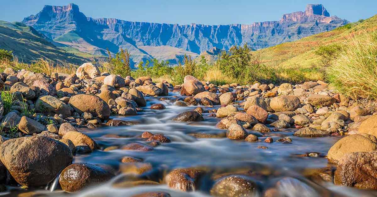 Wildlife Photography Portfolio Tony Sparkes Wildlife And Photo Safaris