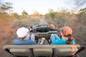 Wild Africa 5 Eco Safari in South Africa - Game Drive with 4 people in a vehicle