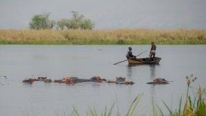 Canoe and hippos in a lake