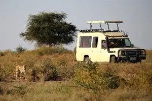 Safari in Tanzania 15 Safari in Tanzania - Vehicle