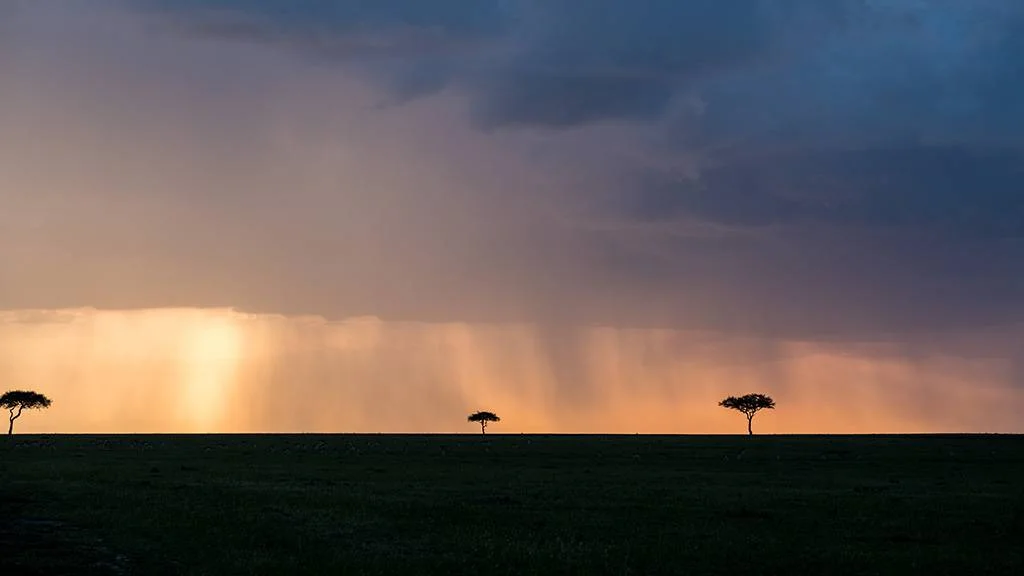 Safari in Tanzania 18 Plains of the Serengeti