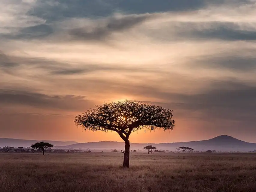 Safari in Tanzania 14 Serengeti Landscape