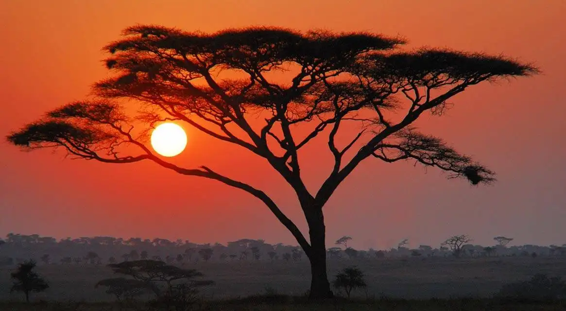 Safari in Tanzania 5 Serengeti Sunset