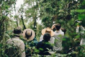 Bird watchers in Uganda looking up at the trees - Uganda Gorilla Trekking