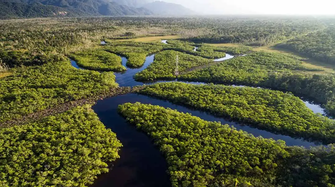 Brazil Animals - Oxbow Lakes