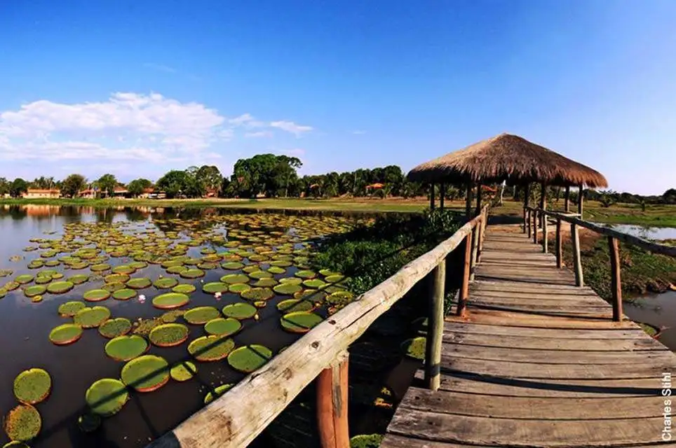 Pantanal Tours 22 Hotel Lake-Pantanal Brazil