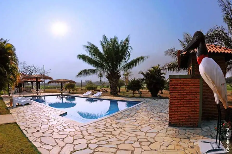 Pantanal Tours 25 Hotel Pool - Pantanal