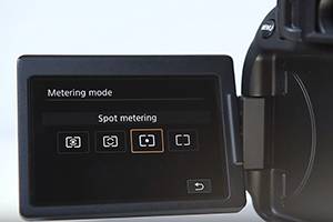 Spot Metering Option - canon camera