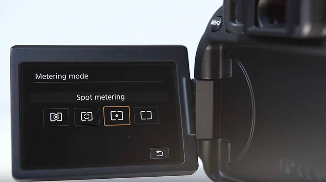 Spot-Metering Mode - Canon - Safari Buddies Blog