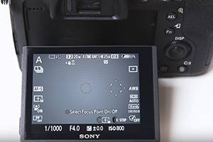 Spot Metering Mode - Canon Camera
