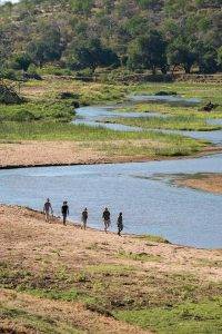 Pafuri Walking Trails - Guided Walks