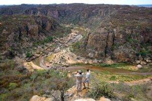 Pafuri Walking Trails - Northern Kruger