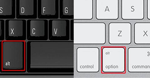 Alt or Option Keys highlighted with red square