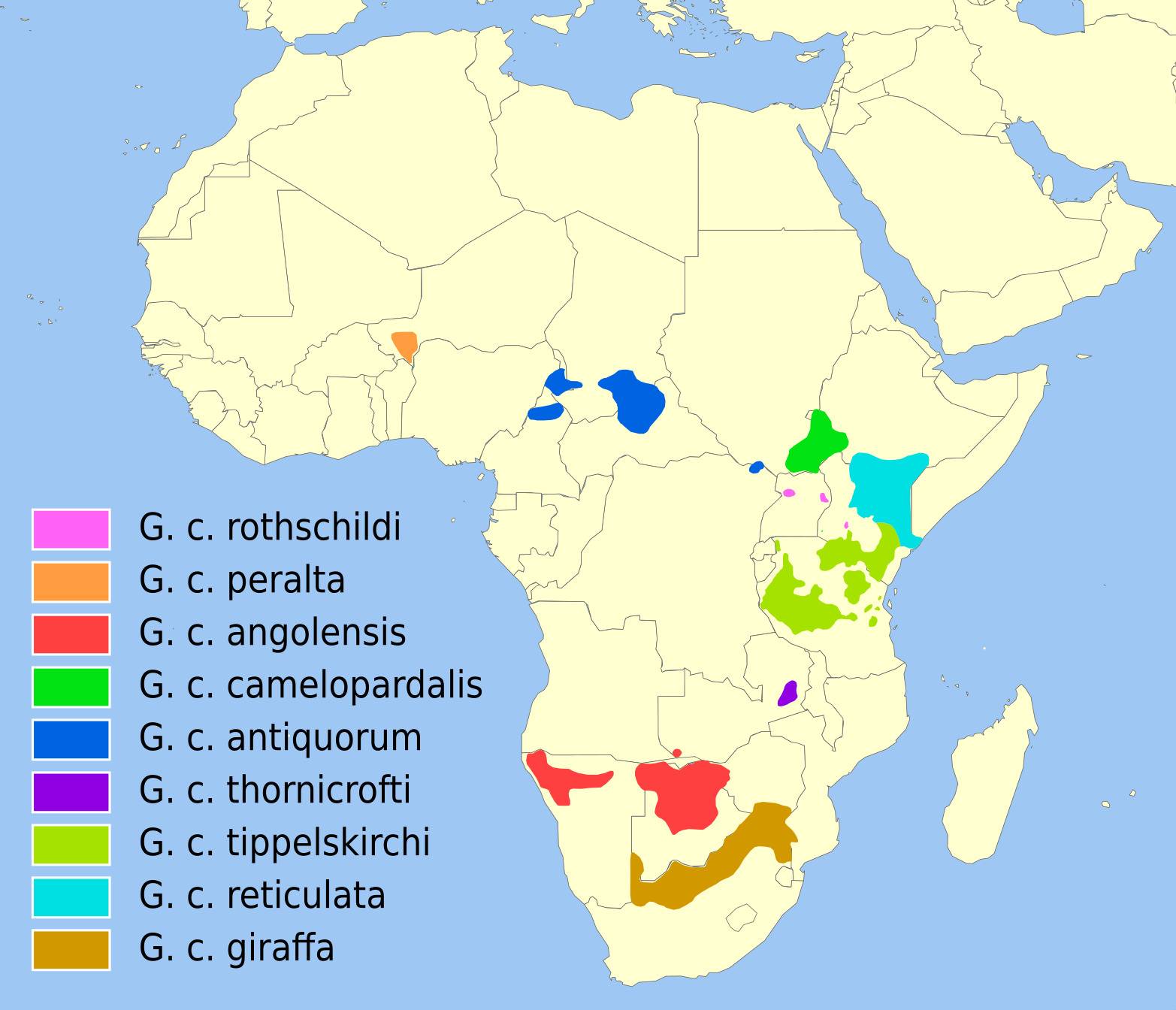 Giraffe Distribution Map of Africa