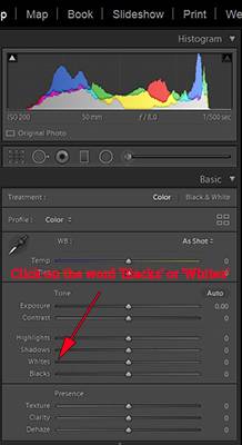 Lightroom whites and blacks slider screenshot