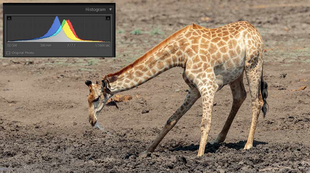 How to read a image histogram