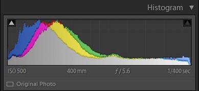 Histogram showing colour peaks - How to read an image histogram