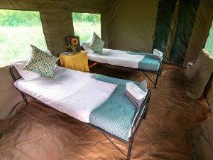 Chobe Botswana 6 Mobile Camp Beds - Chobe Botswana