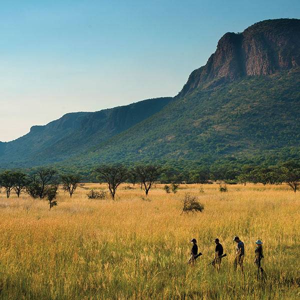 Wildlife Tours - Guided Walk