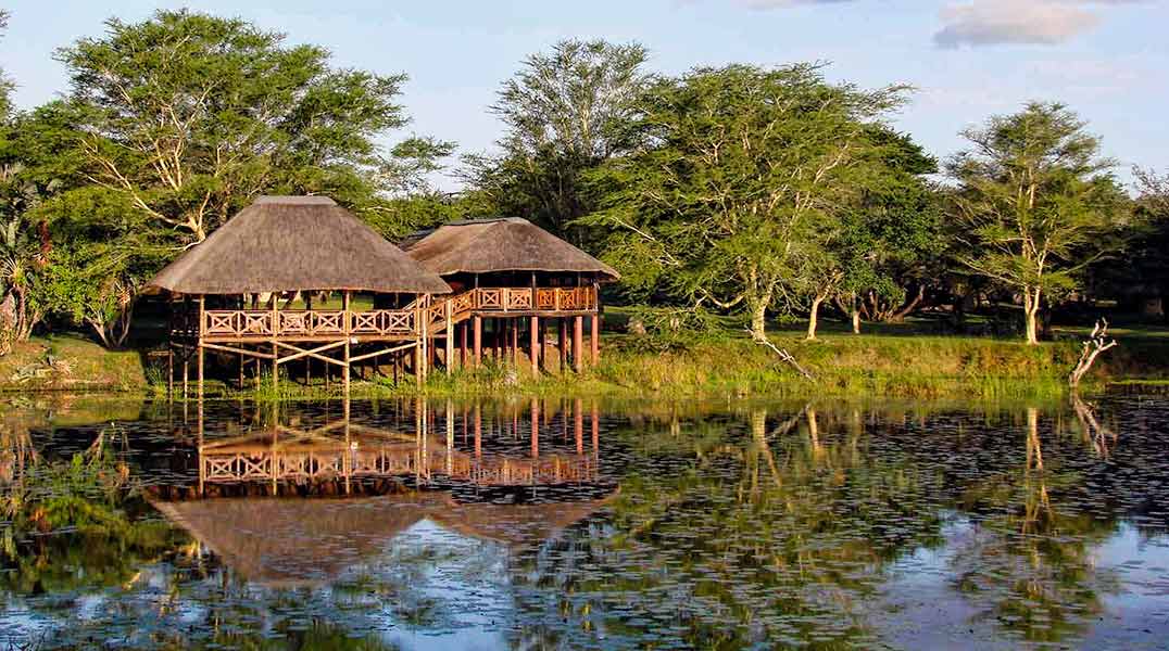 Bird Hide - Bonamanzi