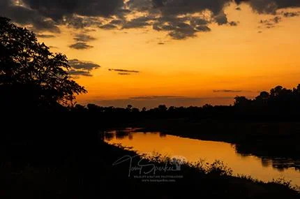 Shingwedzi River Sunset Landscape