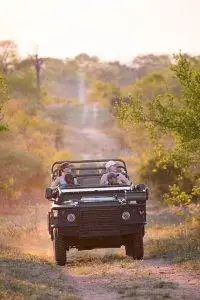 Wild Africa 3 Game drive with 4 people in a vehicle driving towards the camera