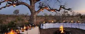 Big Cat Sabi Sand Reserve 21 Evening Bush Dinner - Sabi Sand Wildlife Photo Safari