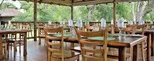 Big Cat Sabi Sand Reserve 27 Lunch On the Deck - Idube Safari Lodge