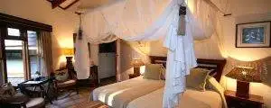 Big Cat Sabi Sand Reserve 8 Suite - Idube Safari Lodge