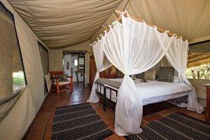 Pungwe Bush Camp - Safari Tent