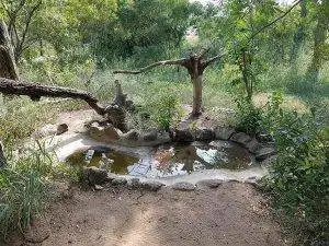 Pungwe Bush Camp 10 A small waterhole at a tented bush camp in South Africa