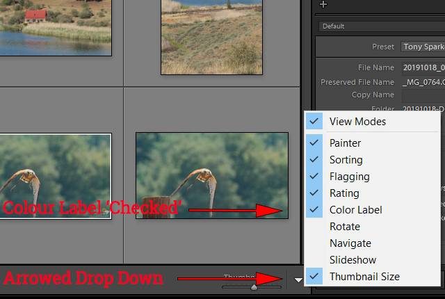 how to delete rejected photos in Lightroom - Drop Down Menu in Lightroom.