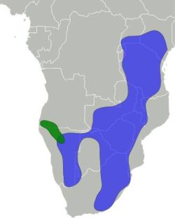 African Safari Animals - Impala Distribution Map