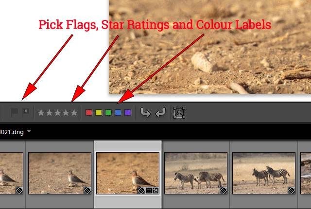 how to delete rejected photos in Lightroom - Taskbar showing Coloured Labels,Star Ratings and Flags