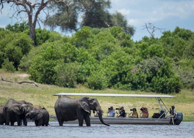 What is a Photo Safari - Photographers on a boat photographing elephants