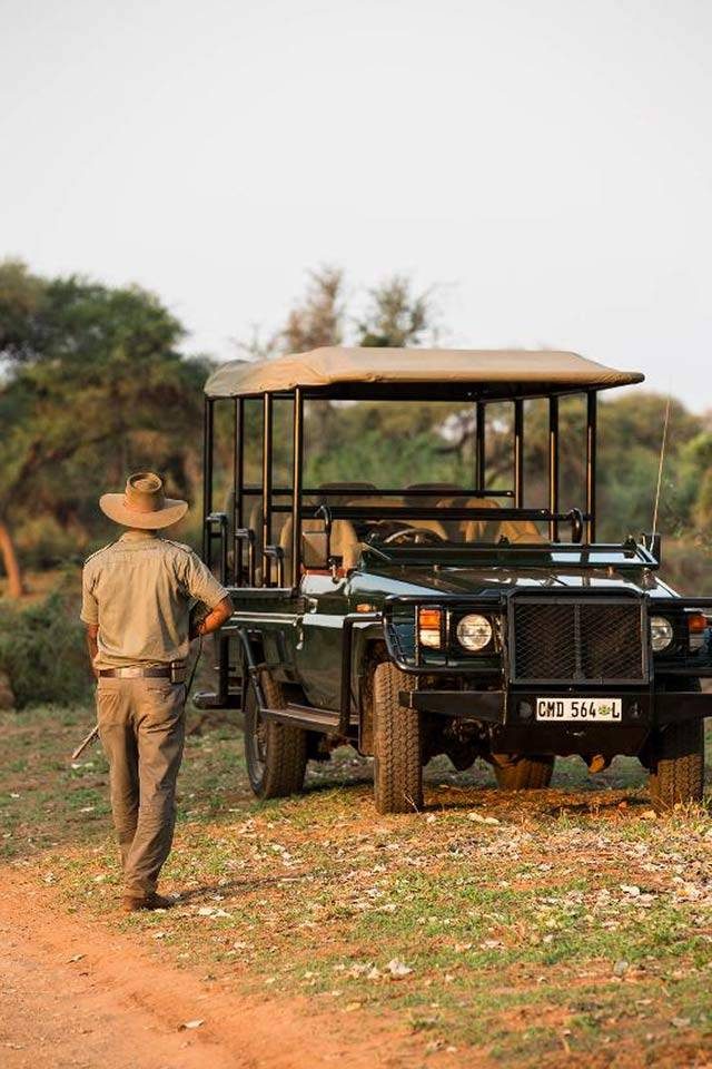 Pafuri Camp Game Drive Game Drive - Pafuri Camp